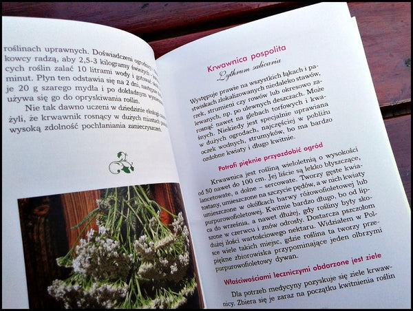 (Book) Zioła z polskich łąk Zbigniew T. Nowak