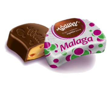 Wawel - Malaga Cream with Raisins Chocolates