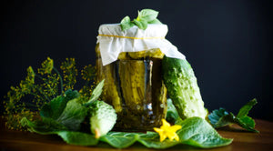 Polish Tradition of Pickling Cucumbers