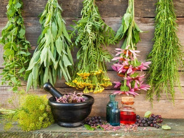 Benefits of Herbs, Fruits & Flowers in Polish Cuisine
