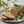 Thanksgiving Bundle Package