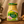 Kamis - Kremska Mustard