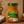Kamis - French Style Mustard (Francuska)