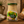 Kamis - Russian Style Mustard (Rosyjska)