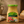 Kamis - Sarepska Mustard