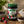 Herbapol - Forest Fruit Jam (Dzem z Owocami Lesnymi)