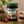 Herbapol - Cherry Jam