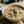 Proste Historie - Mushroom Soup with Barley (Zupa Pieczarkowa z Pietruszka)