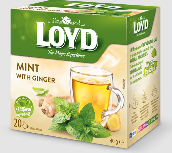 Loyd - Mint with Ginger Tea