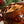 Classic Wigilia Package (small)