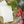 Classic Wigilia Package (large)